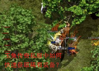 玉兔传奇私服中如何快速获取稀有装备? 玉兔传奇私服中如何快速获取稀有装备?