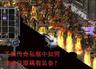 玉兔传奇私服中如何快速获取稀有装备? 玉兔传奇私服中如何快速获取稀有装备?