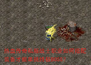 ��Ѫ����˽��սʿְҵ��δ���װ�����ܵ����ռ�BOSS��