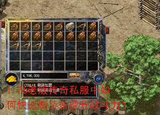 1.76�ϰ洫��˽������ο���ˢװ������ս������