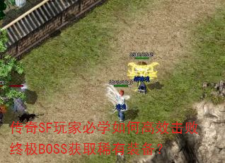 ����SF��ұ�ѧ��θ�Ч�����ռ�BOSS��ȡϡ��װ����