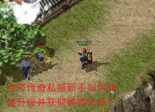 变态传奇私服新手如何快速升级并获取稀有装备? 变态传奇私服新手如何快速升级并获取稀有装备?