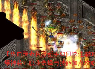 ����Ѫ����˽��������ο���ˢBOSS����װ��ְҵѡ���뼼�ܼӵ㹥�Խ�����