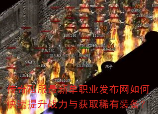����˽�����µ�ְҵ��������ο�������ս�����ȡϡ��װ����
