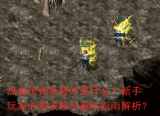 ��Ѫ����˽��SF��ʲô��������ұؿ�������ܿ�ָ�Ͻ�����