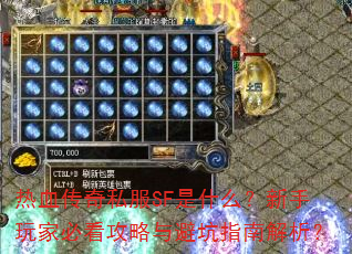 ��Ѫ����˽��SF��ʲô��������ұؿ�������ܿ�ָ�Ͻ�����