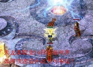 ������ְҵ16���·��տ���ο�������ս����ȼ���