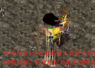 ����˽��sf999���°汾��ο��ٻ�ȡϡ��װ����ְҵ�����븱������ȫ������