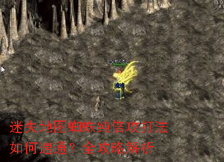 ��ʧ��ͼ֩�봿�����������ͨ��ȫ���Խ���