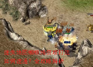 ��ʧ��ͼ֩�봿�����������ͨ��ȫ���Խ���