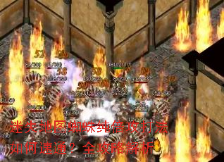 ��ʧ��ͼ֩�봿�����������ͨ��ȫ���Խ���
