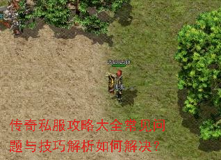 传奇私服攻略大全常见问题与技巧解析如何解决? 传奇私服攻略大全常见问题与技巧解析如何解决?
