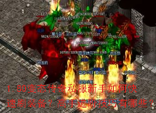 1.80��̬����˽��������ο���ˢװ�������ֽ��׼�������Щ��