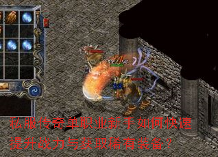 私服传奇单职业新手如何快速提升战力与获取稀有装备? 私服传奇单职业新手如何快速提升战力与获取稀有装备?