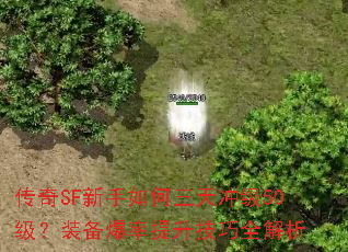 传奇SF新手如何三天冲级50级?装备爆率提升技巧全解析 传奇SF新手如何三天冲级50级?装备爆率提升技巧全解析