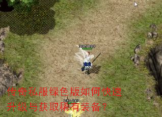 传奇私服绿色版如何快速升级与获取稀有装备? 传奇私服绿色版如何快速升级与获取稀有装备?