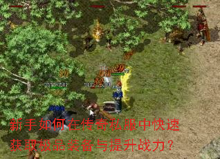 新手如何在传奇私服中快速获取极品装备与提升战力? 新手如何在传奇私服中快速获取极品装备与提升战力?