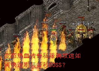 ��̬��Ѫ����˽����������ο���ˢװ����BOSS��