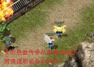 ��̬��Ѫ����˽����������ο���ˢװ����BOSS��