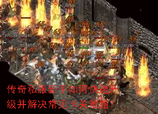 ����˽��������ο�����������������������⣿