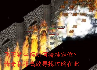 飞天猪坐标如何精准定位?传奇私服高效寻找攻略在此 飞天猪坐标如何精准定位?传奇私服高效寻找攻略在此