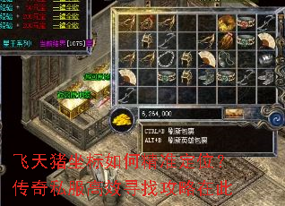 飞天猪坐标如何精准定位?传奇私服高效寻找攻略在此 飞天猪坐标如何精准定位?传奇私服高效寻找攻略在此