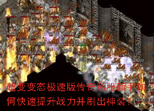 �����̬���ٰ洫��˽��������ο�������ս����ˢ����װ��