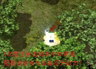 185星王合击版本中如何搭配职业组合与装备提升战力? 185星王合击版本中如何搭配职业组合与装备提升战力?