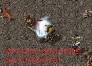传奇私服中战士职业如何搭配技能才能快速刷BOSS? 传奇私服中战士职业如何搭配技能才能快速刷BOSS?