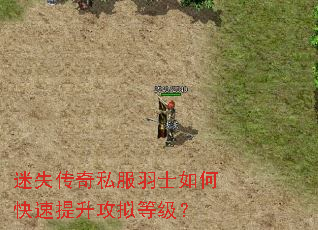 迷失传奇私服羽士如何快速提升攻拟等级? 迷失传奇私服羽士如何快速提升攻拟等级?
