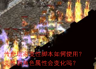 传奇玩家变性脚本如何使用?变性后角色属性会变化吗? 传奇玩家变性脚本如何使用?变性后角色属性会变化吗?