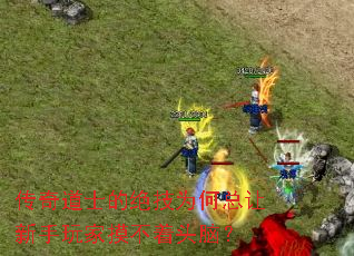 传奇道士的绝技为何总让新手玩家摸不着头脑? 传奇道士的绝技为何总让新手玩家摸不着头脑?