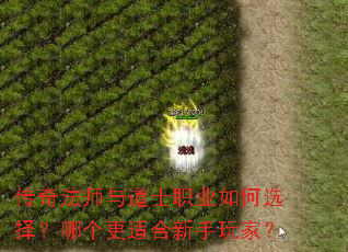 ���淨ʦ���ʿְҵ���ѡ���ĸ����ʺ�������ң�