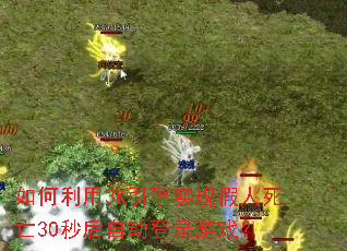 如何利用3K引擎实现假人死亡30秒后自动登录游戏? 如何利用3K引擎实现假人死亡30秒后自动登录游戏?