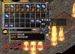 如何快速提升剑术技能等级? 如何快速提升剑术技能等级?
