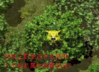 20级三职业选什么戒指?小极品属性如何取舍? 20级三职业选什么戒指?小极品属性如何取舍?
