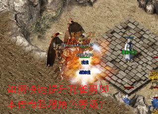 如何快速提升孔雀男脚本传奇私服角色等级? 如何快速提升孔雀男脚本传奇私服角色等级?