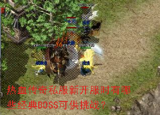 热血传奇私服新开服时有哪些经典BOSS可供挑战? 热血传奇私服新开服时有哪些经典BOSS可供挑战?