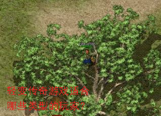 轻变传奇游戏适合哪些类型的玩家? 轻变传奇游戏适合哪些类型的玩家?