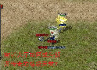 ���ߴ�����γ�Ϊ�¿�������������ã�