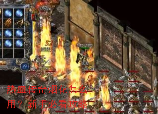 ��Ѫ�����̻���ô�ã����ֱؿ�����
