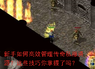 新手如何高效管理传奇私服资源?这些技巧你掌握了吗? 新手如何高效管理传奇私服资源?这些技巧你掌握了吗?
