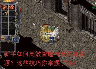 新手如何高效管理传奇私服资源?这些技巧你掌握了吗? 新手如何高效管理传奇私服资源?这些技巧你掌握了吗?