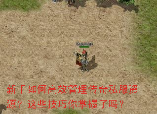 新手如何高效管理传奇私服资源?这些技巧你掌握了吗? 新手如何高效管理传奇私服资源?这些技巧你掌握了吗?