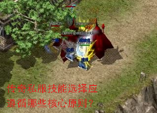 传奇私服技能选择应遵循哪些核心原则? 传奇私服技能选择应遵循哪些核心原则?