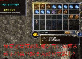 传奇老骨灰的肺腑之言:如何从新手村菜鸟蜕变为沙巴克霸主? 传奇老骨灰的肺腑之言:如何从新手村菜鸟蜕变为沙巴克霸主?
