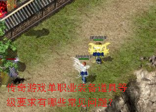 传奇游戏单职业装备道具等级要求有哪些常见问题? 传奇游戏单职业装备道具等级要求有哪些常见问题?