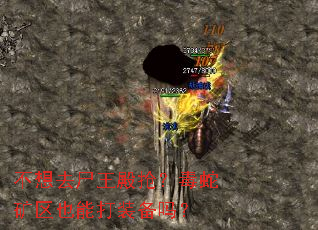 ����ȥʬ�����������߿���Ҳ�ܴ�װ����