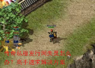 传奇私服发行网失灵怎么办?高手速求解决方案 传奇私服发行网失灵怎么办?高手速求解决方案