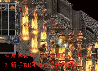 ��ʦ�������������ٶȾ��ǿ죿������ο��������ȼ���